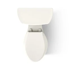 Two-piece elongated toilet, dual-flush