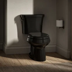 Two-piece elongated toilet, dual-flush