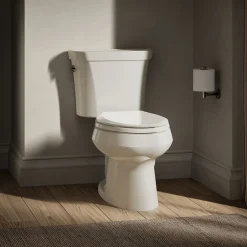 Two-piece elongated toilet, dual-flush
