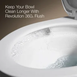 Two-piece elongated toilet, 1.6 gpf