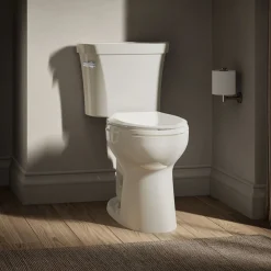 Two-piece elongated toilet, 1.6 gpf