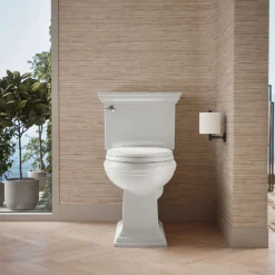 Two-piece elongated toilet, 1.6 gpf