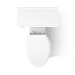 Two-piece elongated toilet, 1.6 gpf