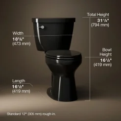 Two-piece elongated toilet, 1.6 gpf