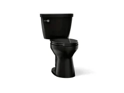 Two-piece elongated toilet, 1.6 gpf