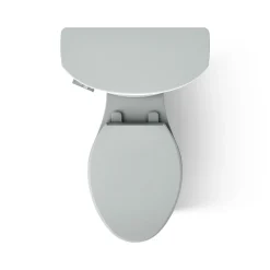 Two-piece elongated toilet, 1.6 gpf
