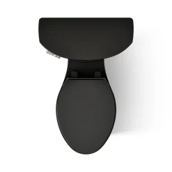 Two-piece elongated toilet, 1.6 gpf