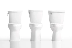 Two-piece elongated toilet, 1.6 gpf