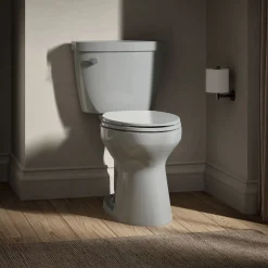 Two-piece elongated toilet, 1.6 gpf