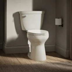 Two-piece elongated toilet, 1.6 gpf