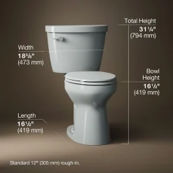Two-piece elongated toilet, 1.6 gpf