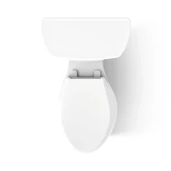 Two-piece elongated toilet, 1.0 gpf