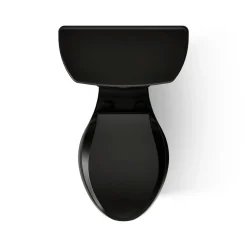 Two-piece elongated toilet, 1.0 gpf