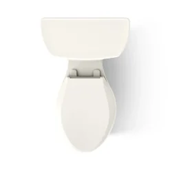 Two-piece elongated toilet, 1.0 gpf
