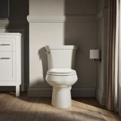 Two-piece elongated toilet, 1.6 gpf