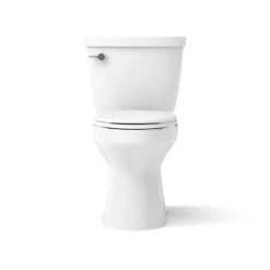 Two-piece elongated toilet, 1.6 gpf