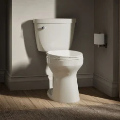 Two-piece elongated toilet, 1.6 gpf