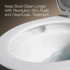 Two-piece elongated toilet, 1.6 gpf