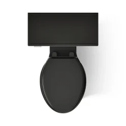 Two-piece elongated toilet with concealed trapway, 1.28 gpf