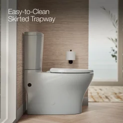 Two-piece elongated toilet with skirted trapway, dual-flush