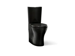 Two-piece elongated toilet with skirted trapway, dual-flush