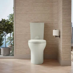 Two-piece elongated toilet with skirted trapway, dual-flush