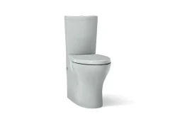 Two-piece elongated toilet with skirted trapway, dual-flush