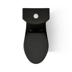Two-piece elongated toilet with skirted trapway, dual-flush