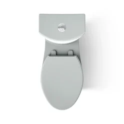 Two-piece elongated toilet with skirted trapway, dual-flush