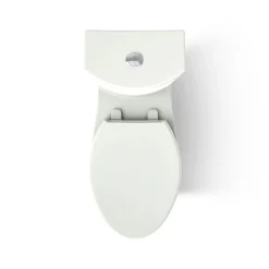 Two-piece elongated toilet with skirted trapway, dual-flush