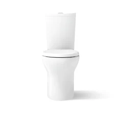 Two-piece elongated toilet with skirted trapway, dual-flush