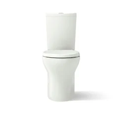 Two-piece elongated toilet with skirted trapway, dual-flush