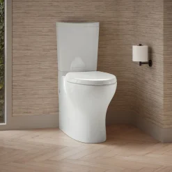 Two-piece elongated toilet with skirted trapway, dual-flush