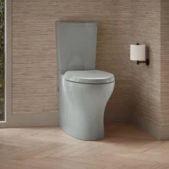 Two-piece elongated toilet with skirted trapway, dual-flush