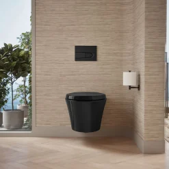 Wall-hung compact elongated toilet, dual-flush