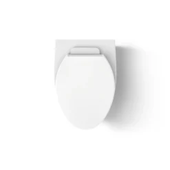 Wall-hung compact elongated toilet, dual-flush