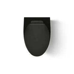 Wall-hung compact elongated toilet, dual-flush