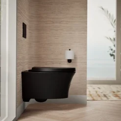 Wall-hung compact elongated toilet, dual-flush