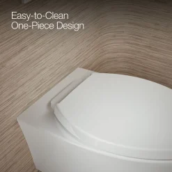 Wall-hung compact elongated toilet, dual-flush