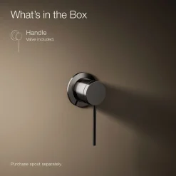 Wall-mount bathroom sink faucet handle